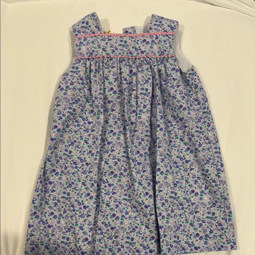 TBBC Blue Dress- size 5